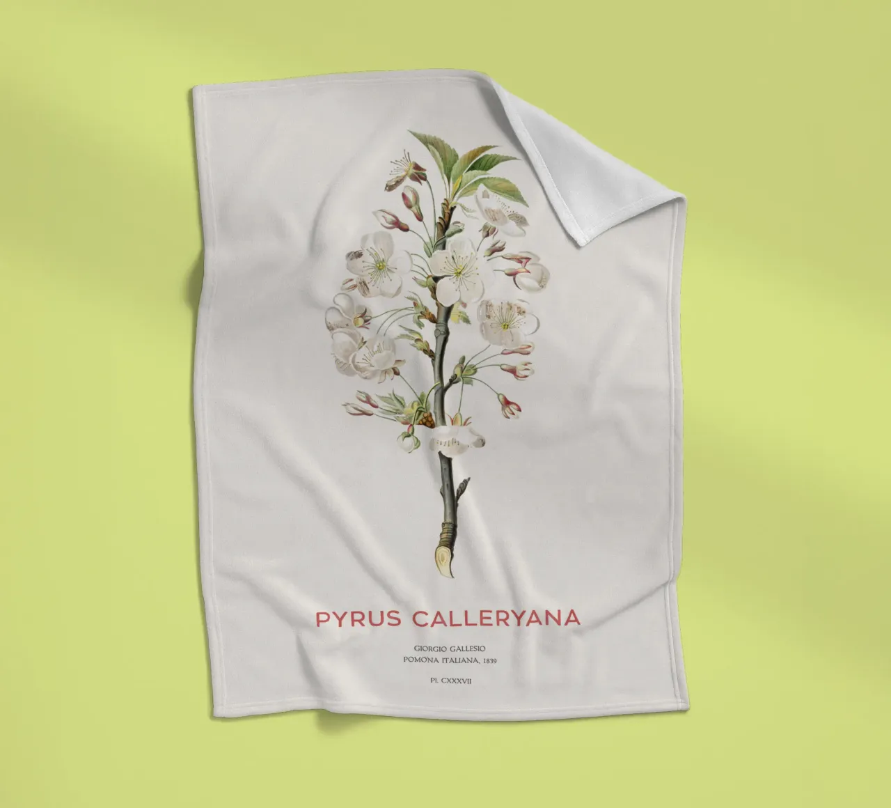 Felsenbirne oder Pyrus calleryana Fleecedecke von Vintagrafica