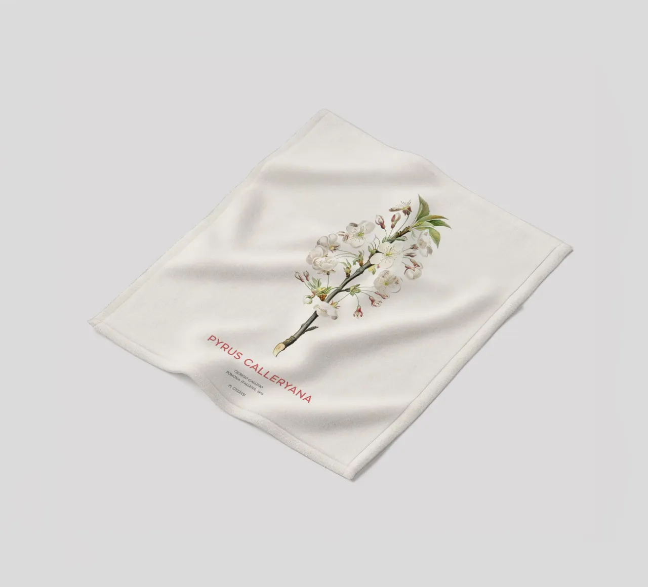 Felsenbirne oder Pyrus calleryana Fleecedecke von Vintagrafica