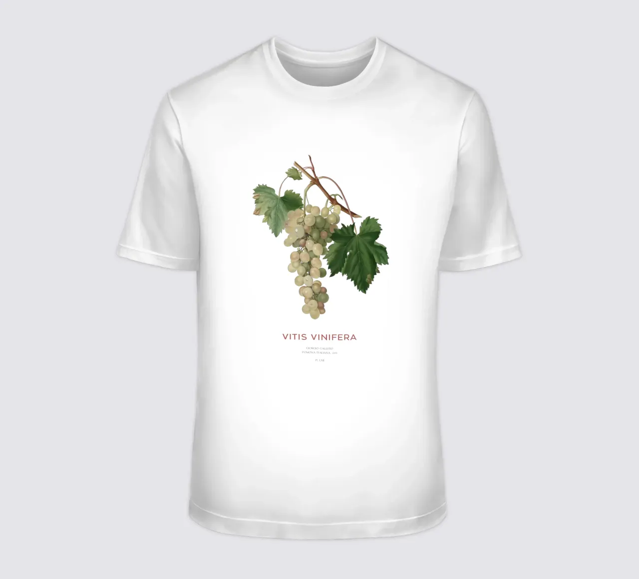 Gewöhnliche Weinrebe oder Vitis vinifera T-Shirt von Vintagrafica