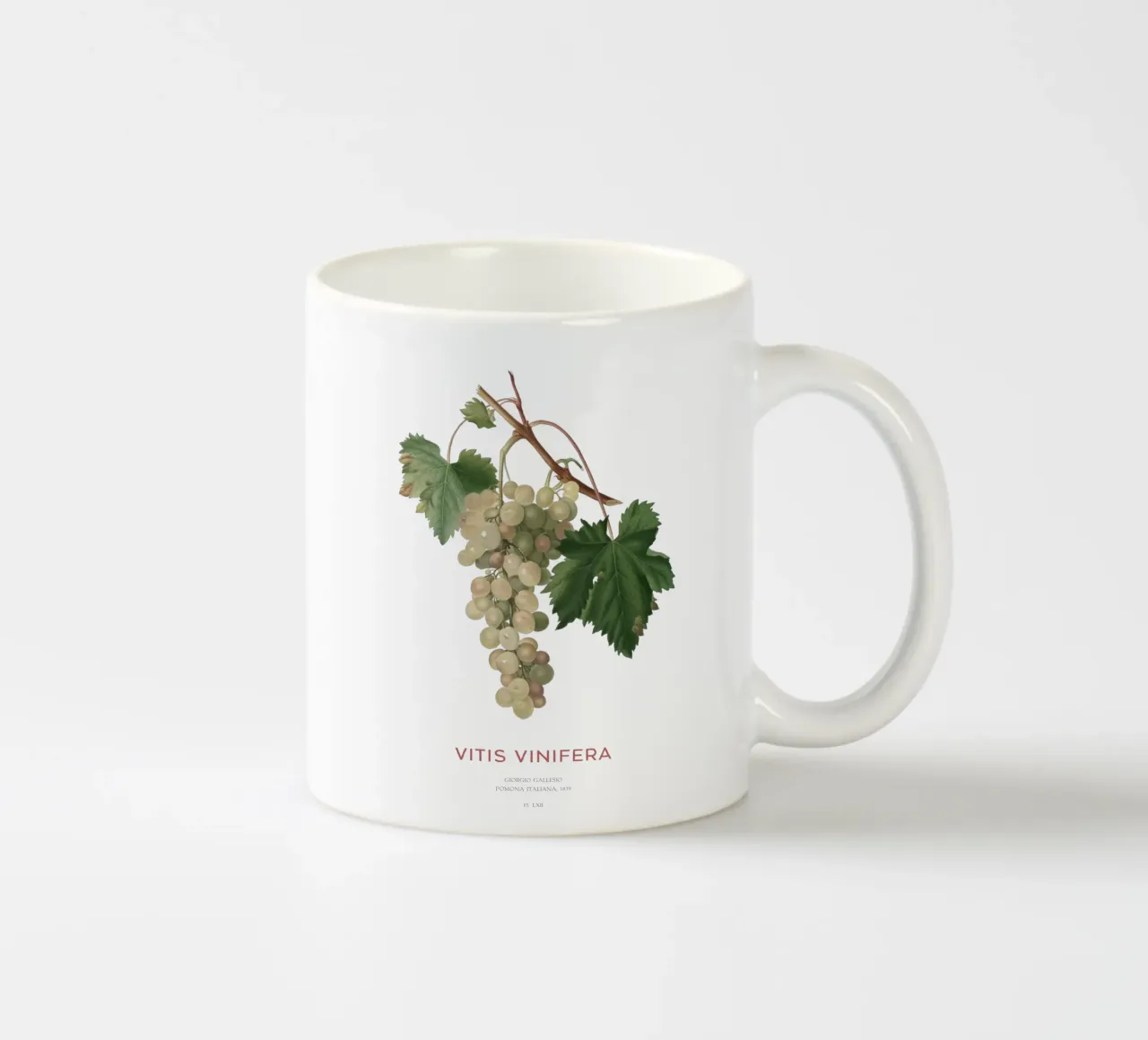 Vite comune o Vitis vinifera tazza in ceramica da Vintagrafica