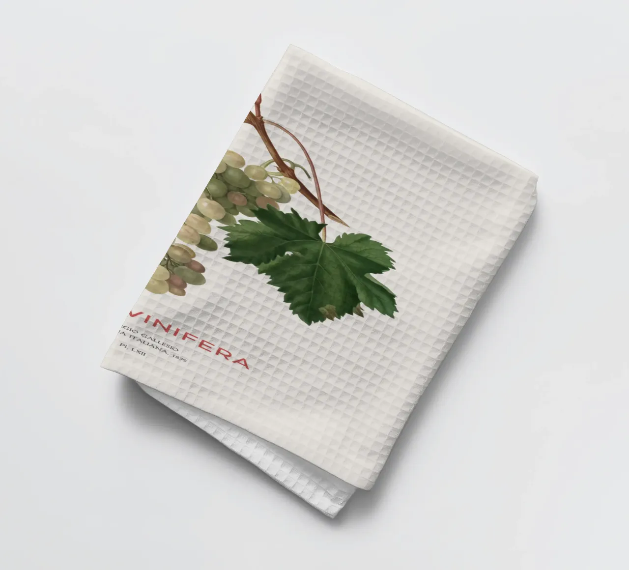 Gewöhnliche Weinrebe oder Vitis vinifera Geschirrtuch von Vintagrafica