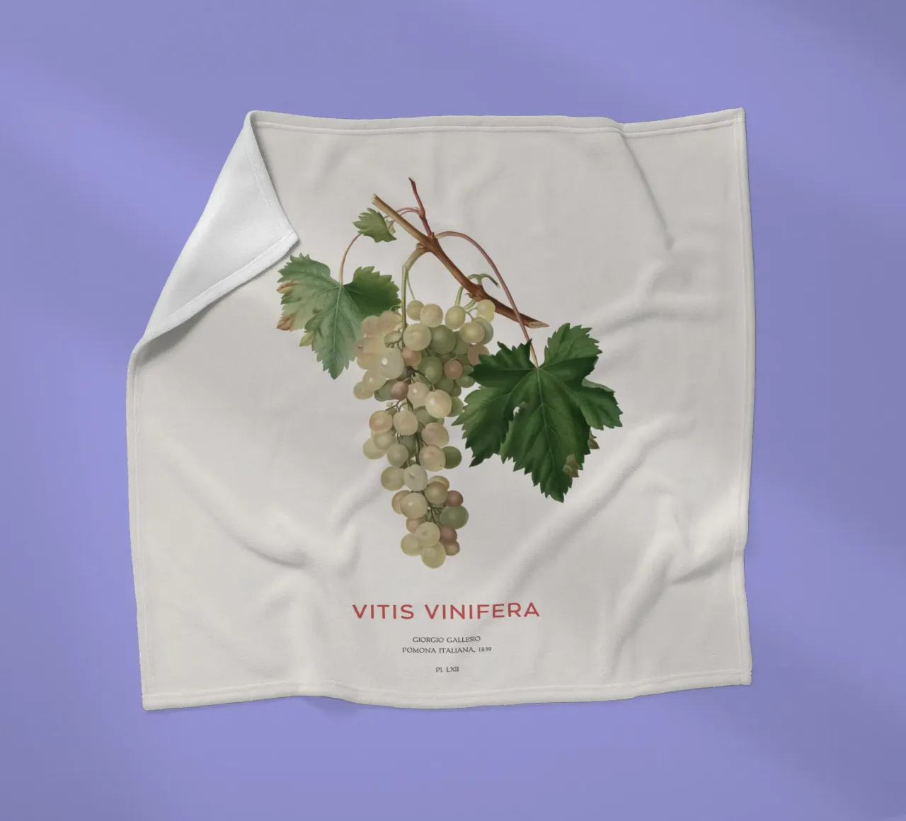 Common grape vine or Vitis vinifera fleece blanket by Vintagrafica