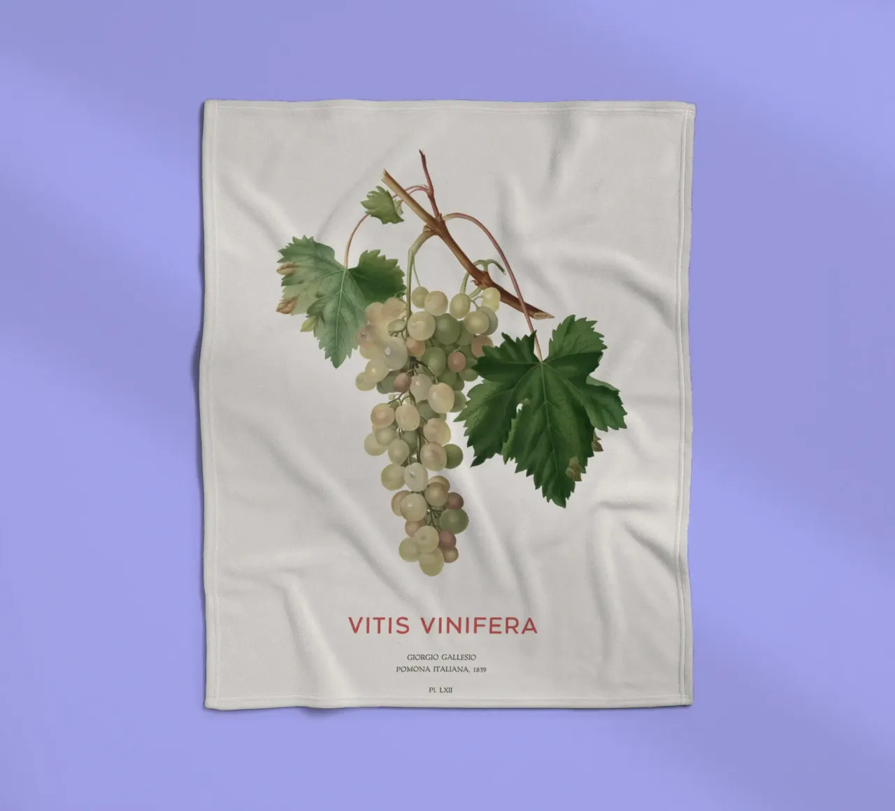 Common grape vine or Vitis vinifera fleece blanket by Vintagrafica