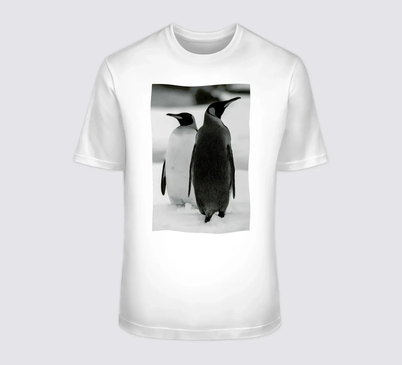 The Penguins t-shirt da Studio One