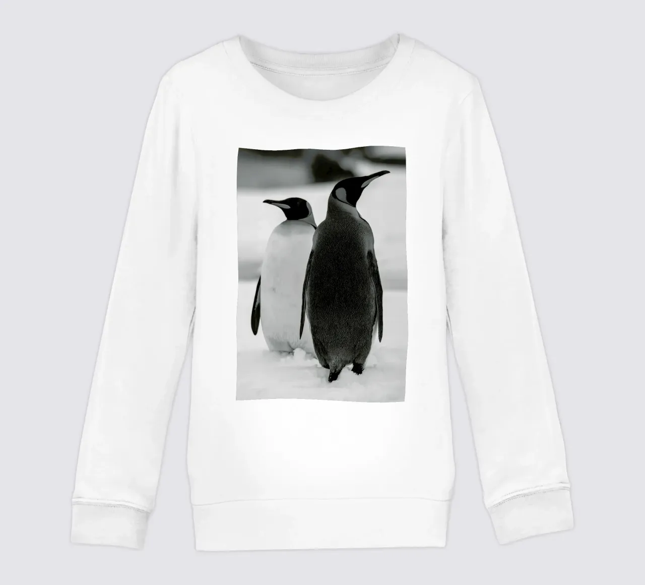 The Penguins felpa bambino da Studio One
