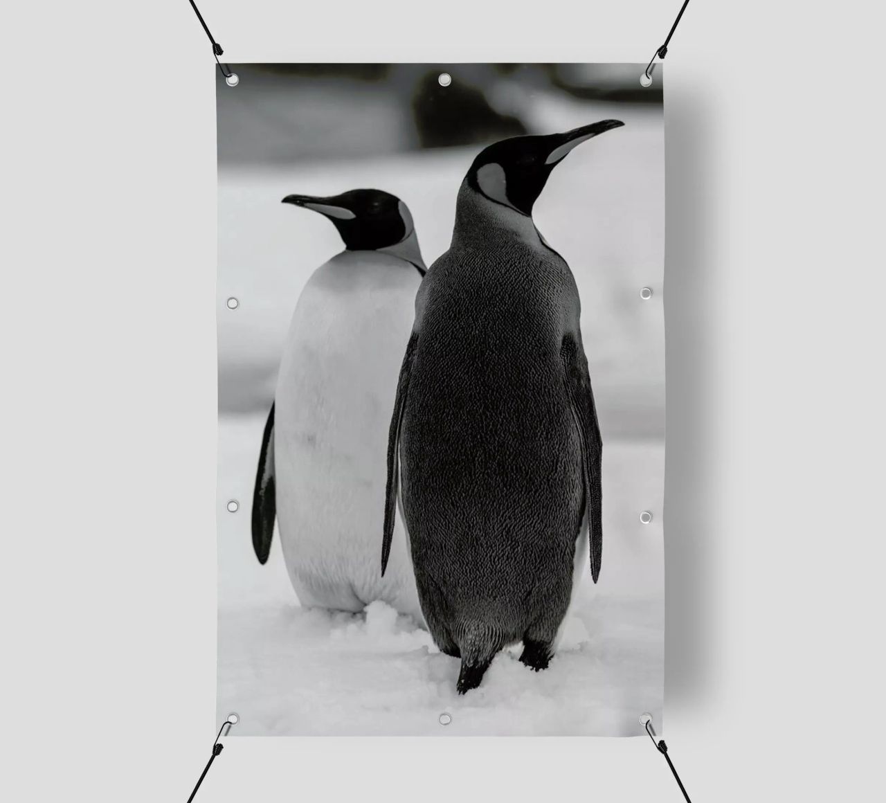 The Penguins telo in pvc da Studio One