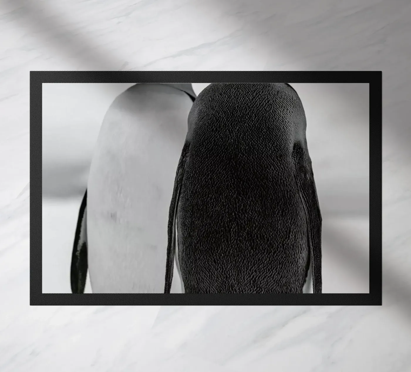The Penguins zerbino da Studio One
