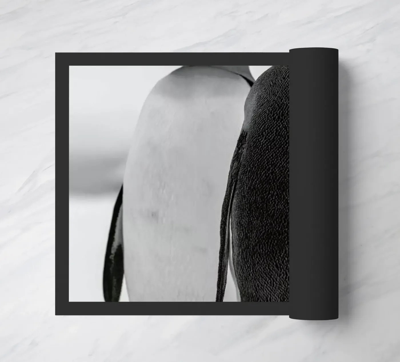The Penguins zerbino da Studio One