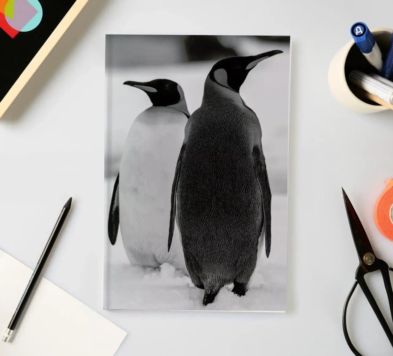 The Penguins notebook by Studio One