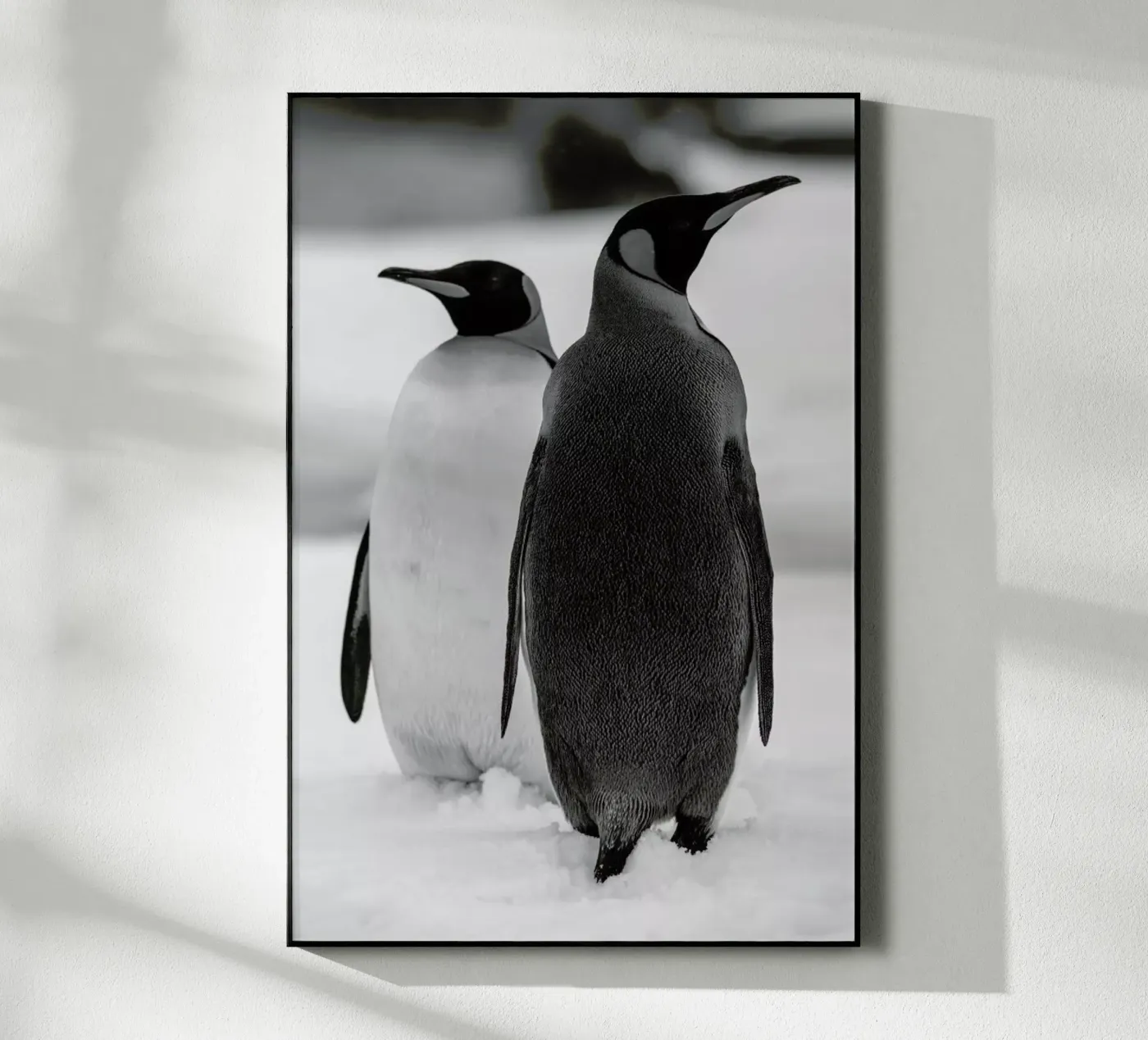 The Penguins plexiglass da Studio One