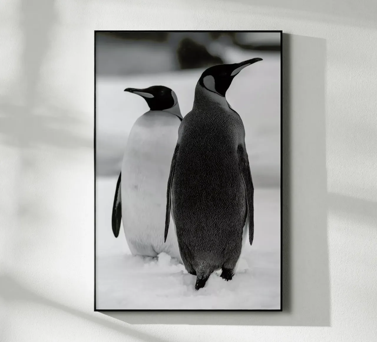 The Penguins plexiglass da Studio One