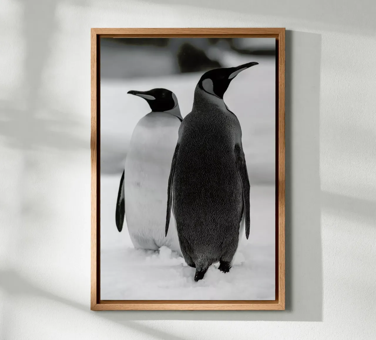 The Penguins alluminio dibond da Studio One