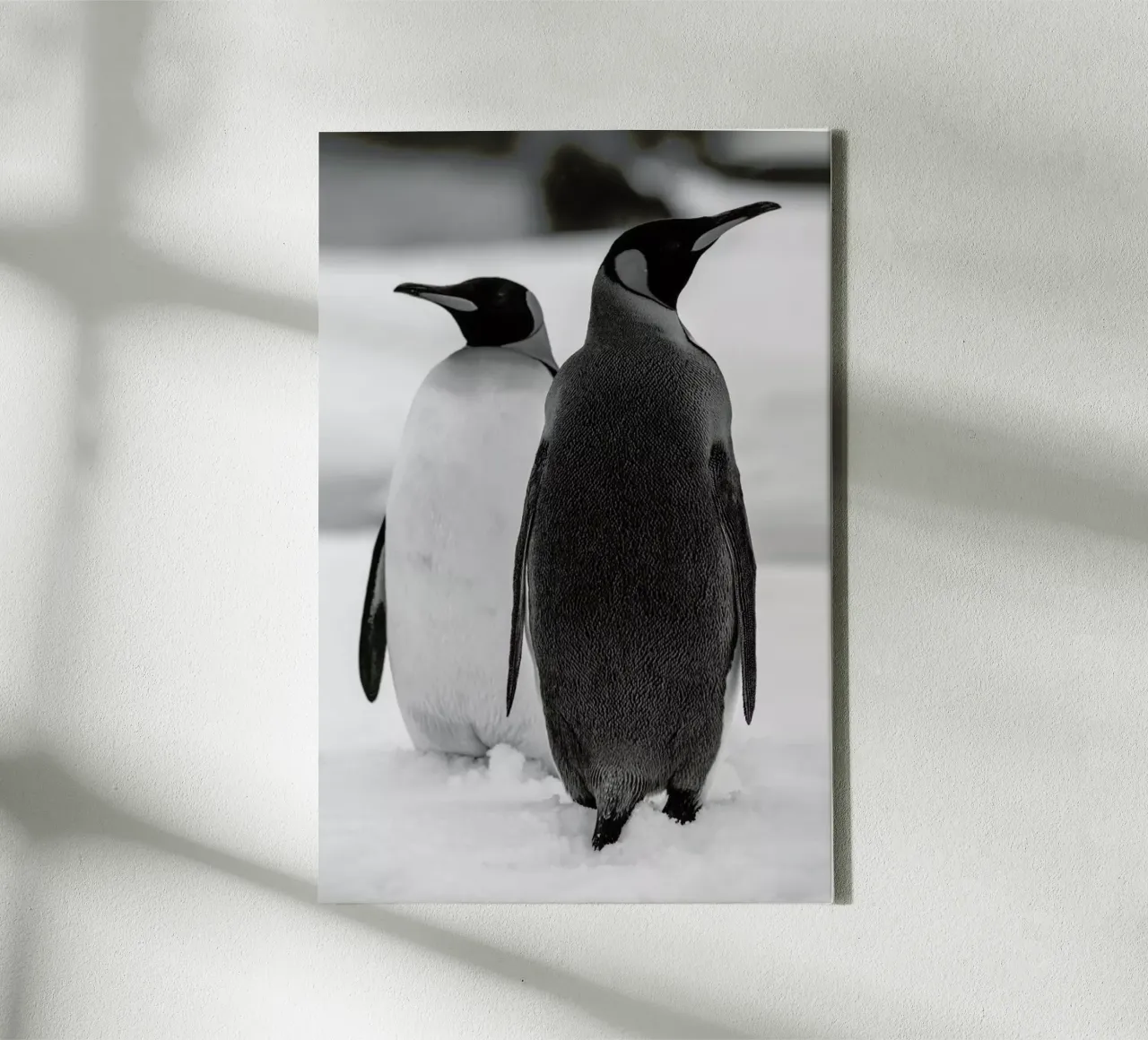 The Penguins tela con Cornice a cassetta da Studio One