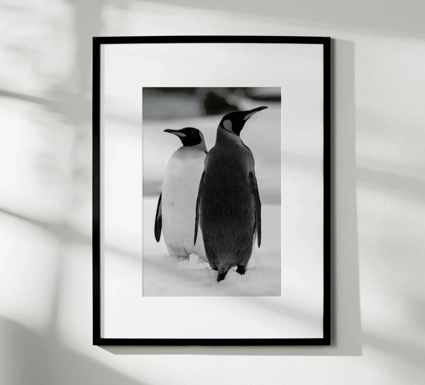 The Penguins poster da Studio One