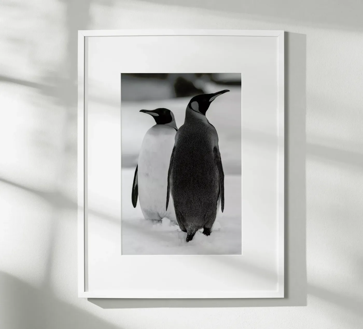 The Penguins poster da Studio One