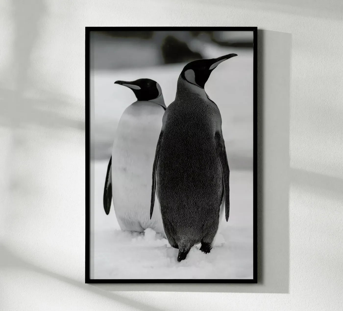 The Penguins poster da Studio One