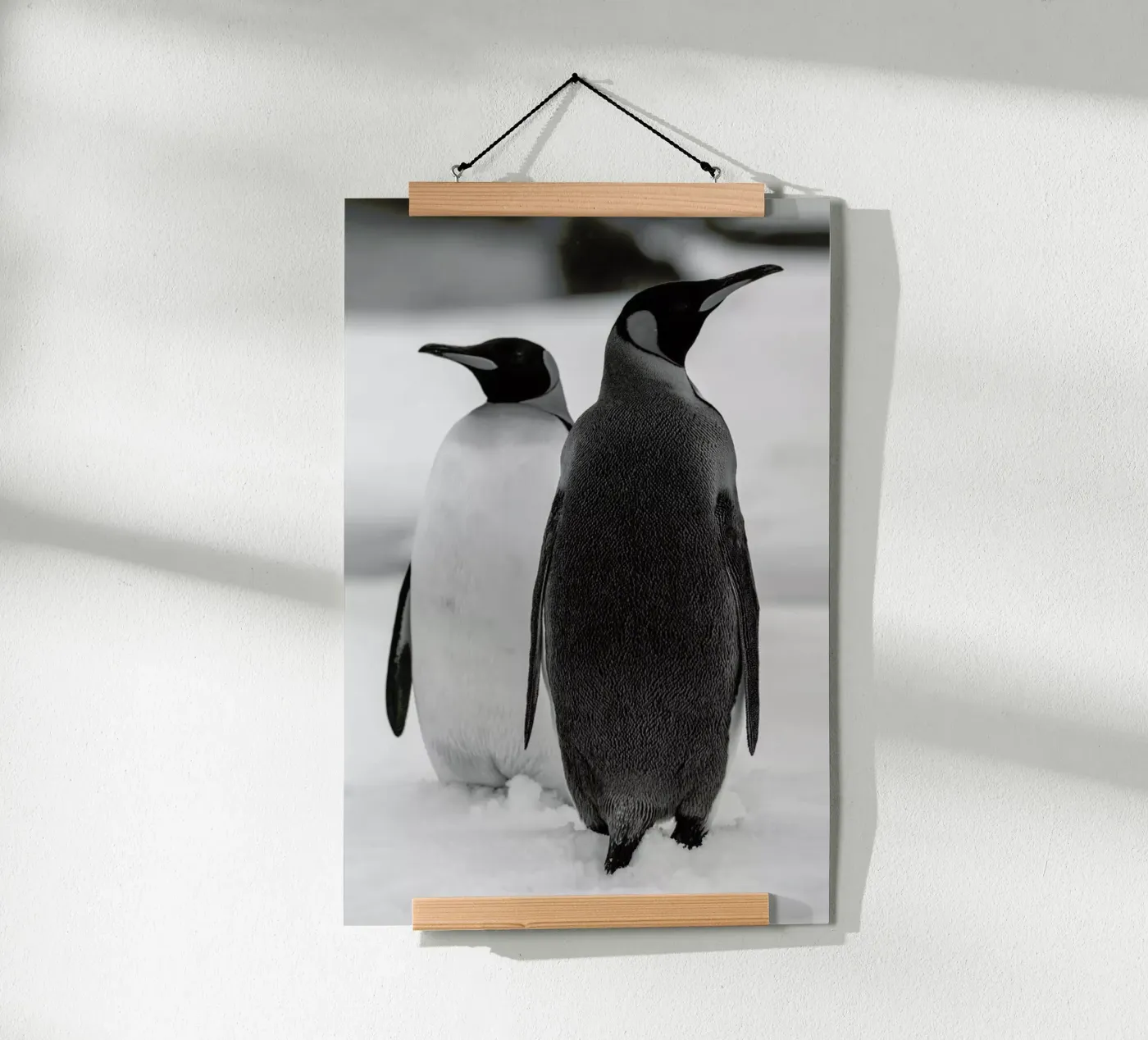 The Penguins poster da Studio One