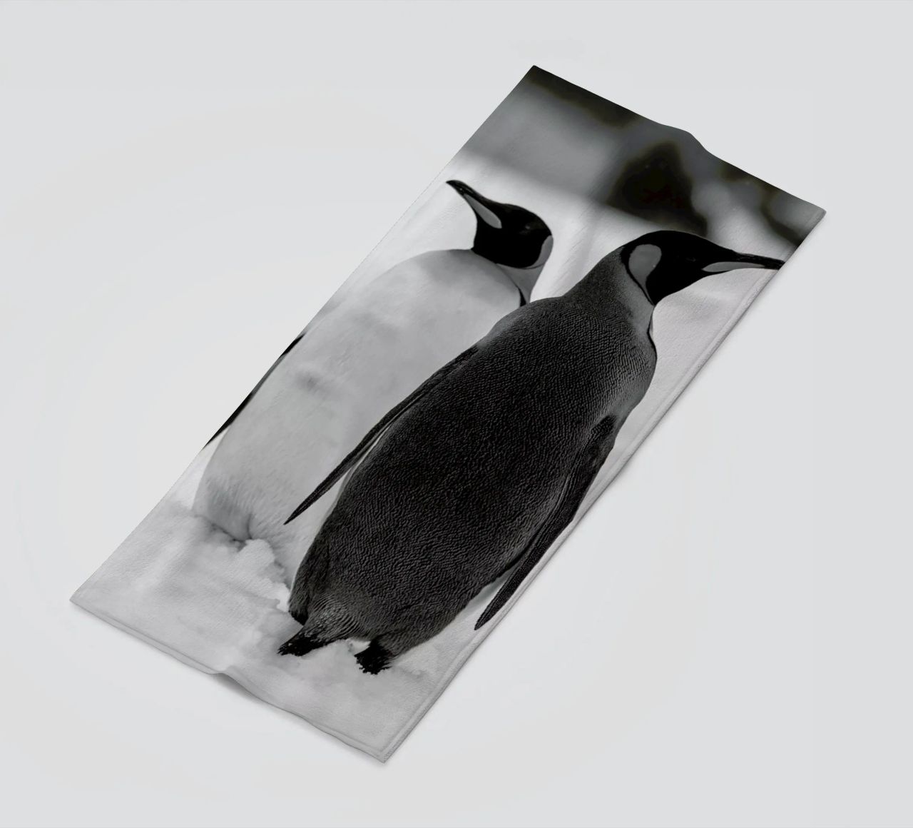The Penguins telo mare da Studio One