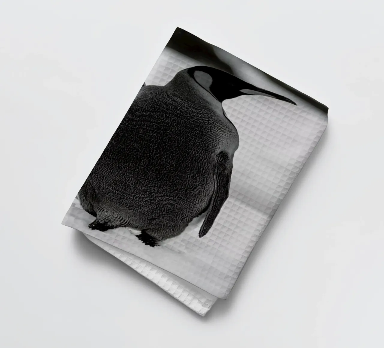 The Penguins canovaccio da cucina da Studio One