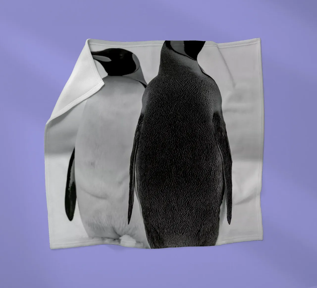 The Penguins coperta in pile da Studio One