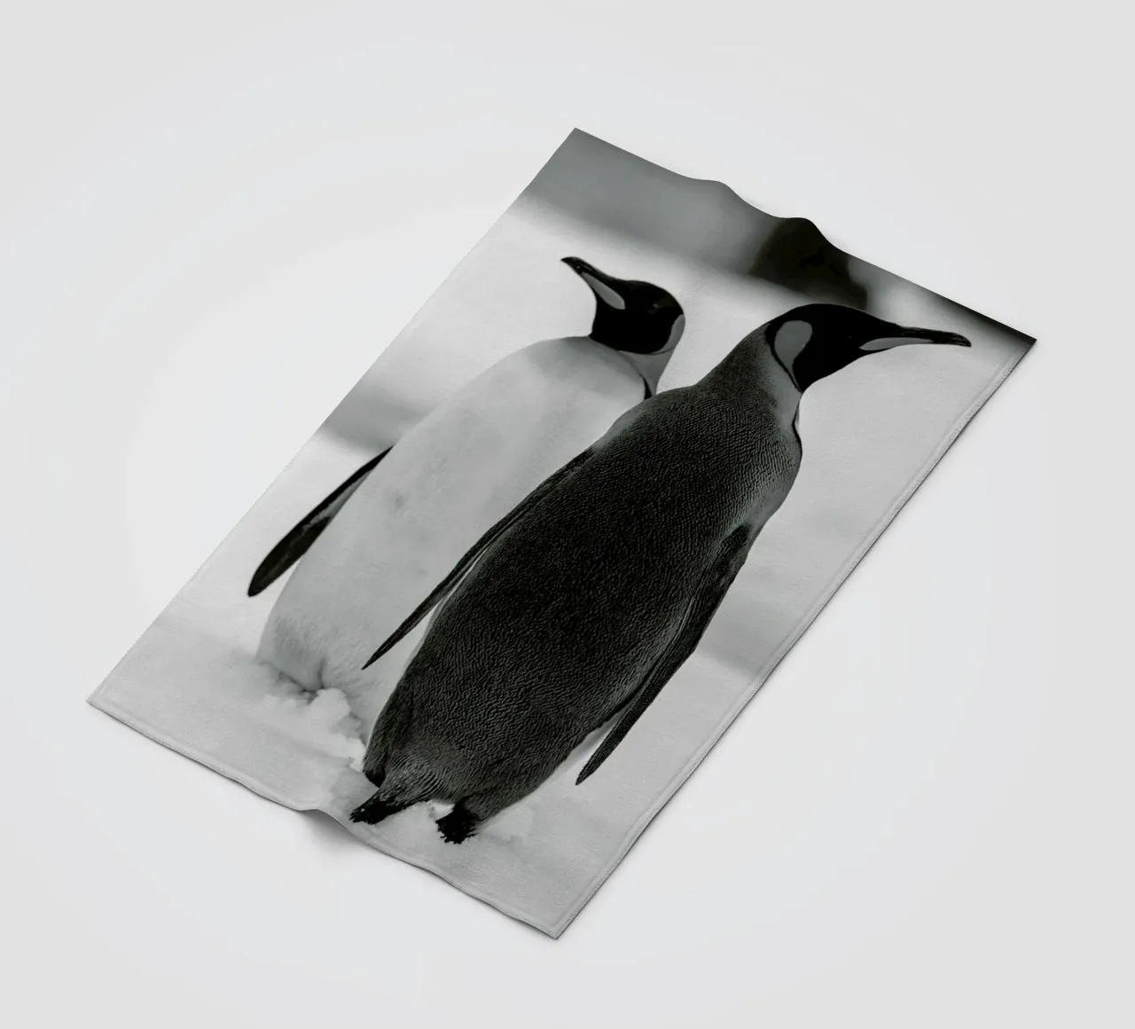 The Penguins coperta in pile da Studio One