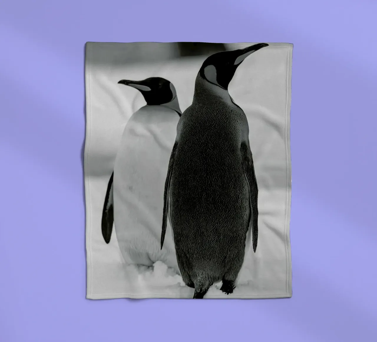 The Penguins coperta in pile da Studio One