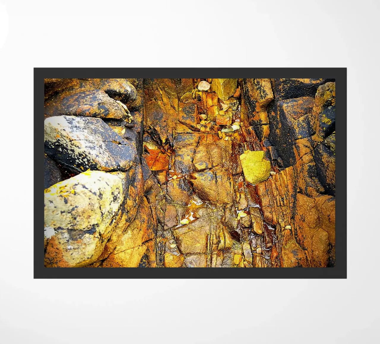 FAA60 zerbino da Thierry vobmann photography