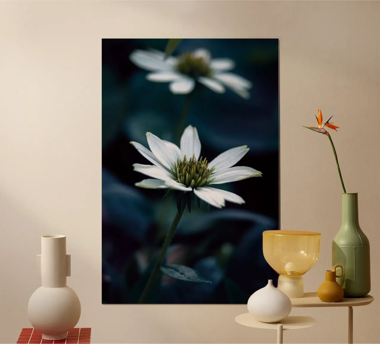 White echinacea flower photo poster poster by Neige Nature Capture