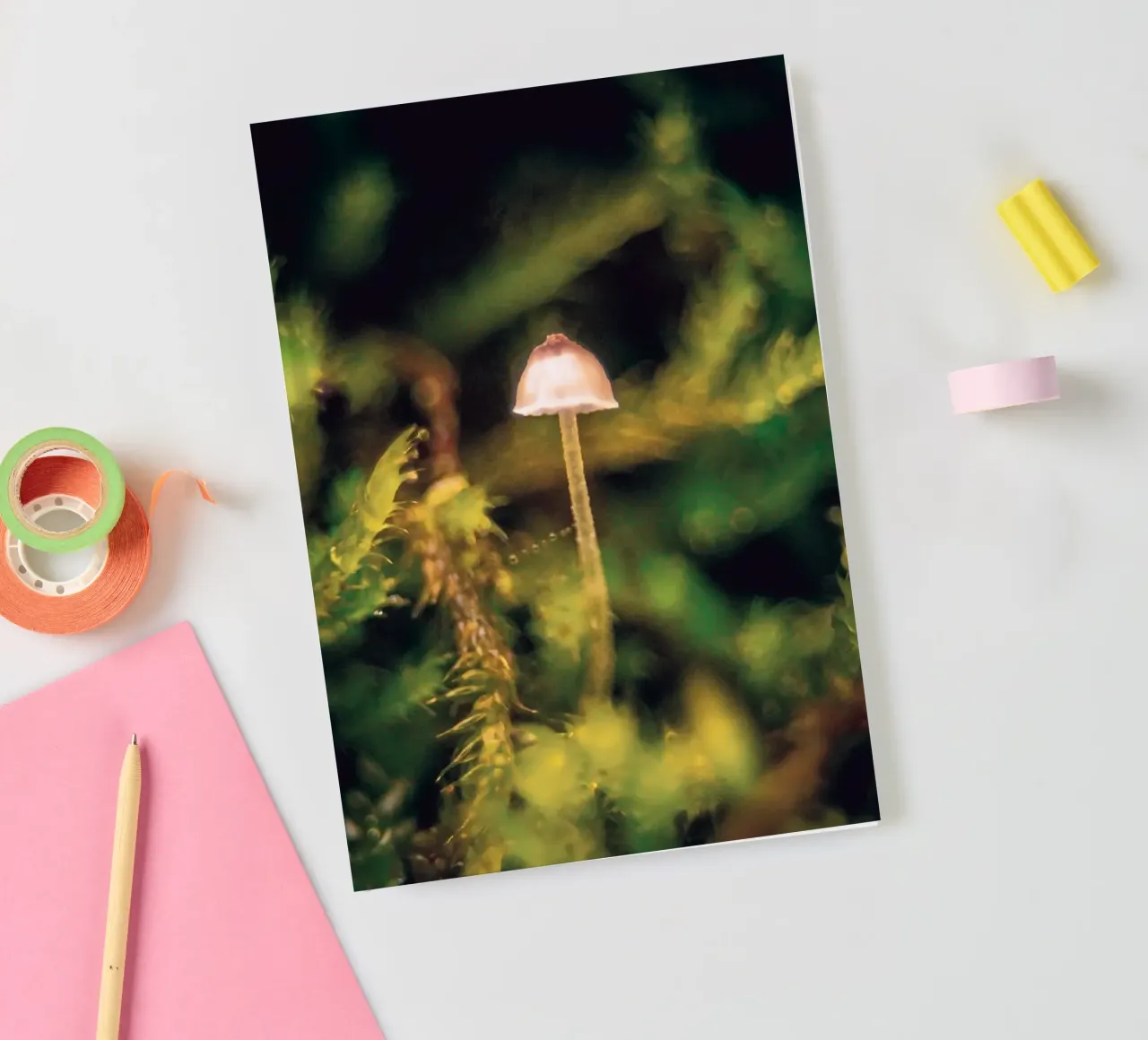 Photo of a small mushroom in the moss notebook by Neige Nature Capture