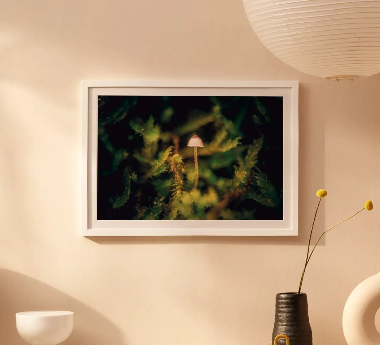 Photo of a small mushroom in the moss poster by Neige Nature Capture