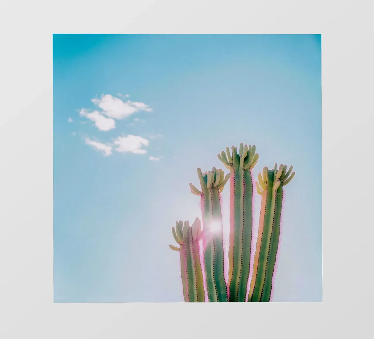 79 fotobehang van Pink California | Affiches & Posters