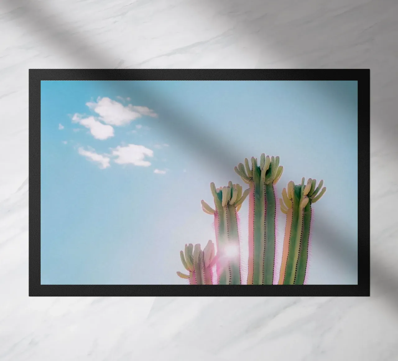 79 zerbino da Pink California | Affiches & Posters