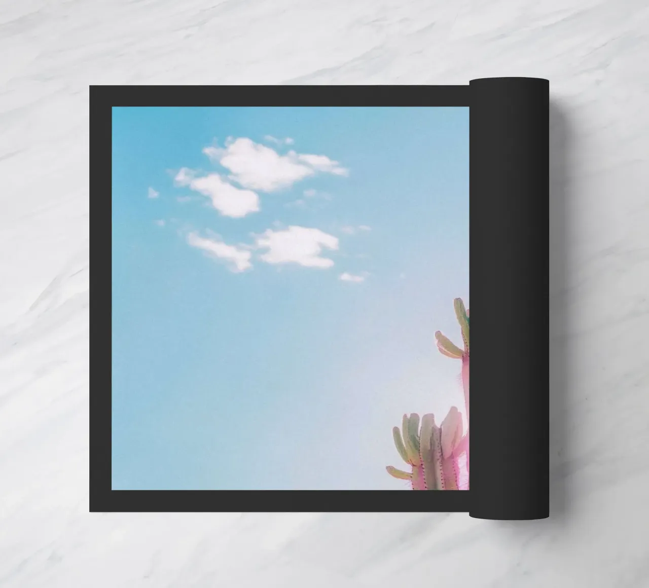 79 zerbino da Pink California | Affiches & Posters