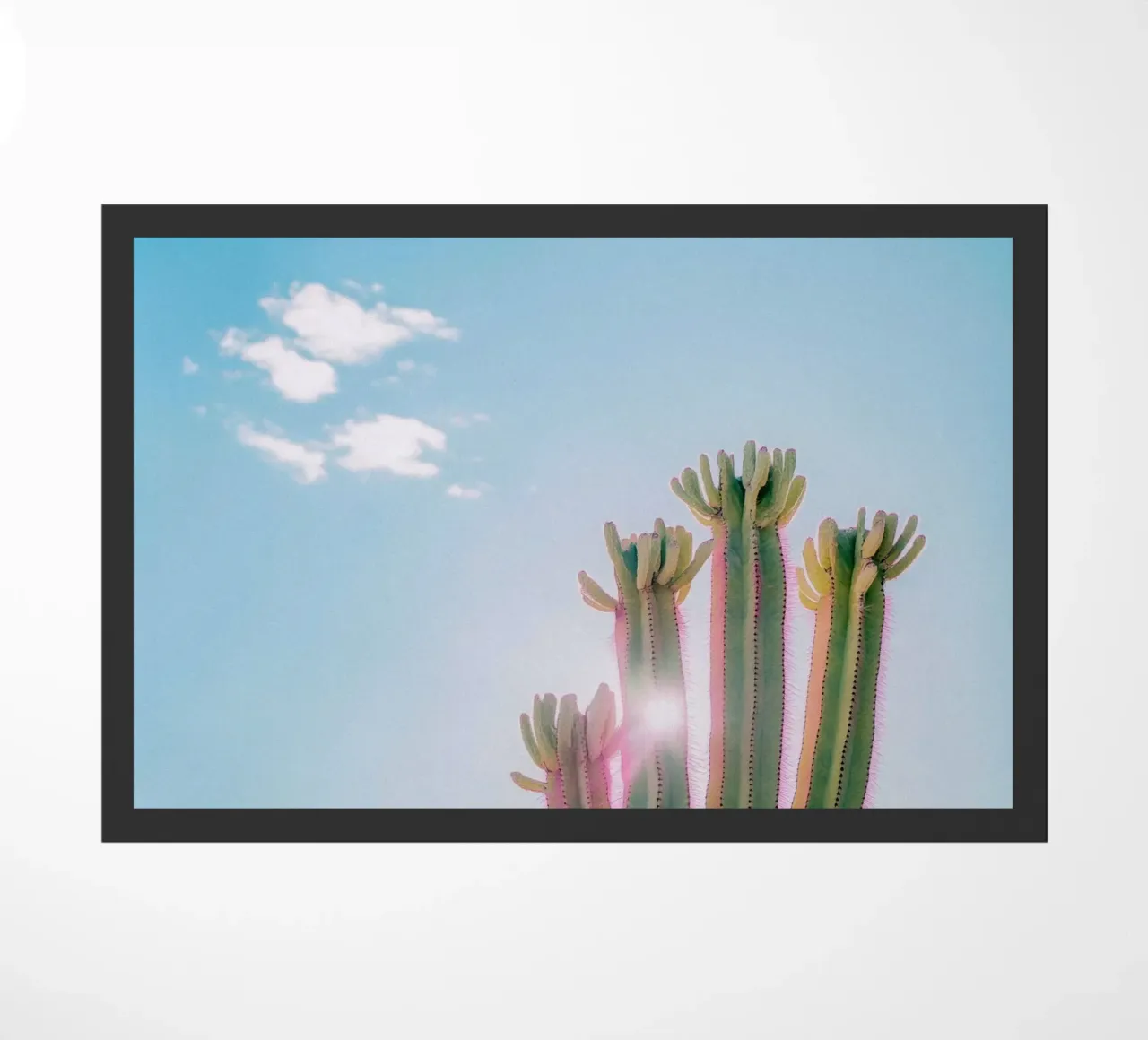 79 zerbino da Pink California | Affiches & Posters