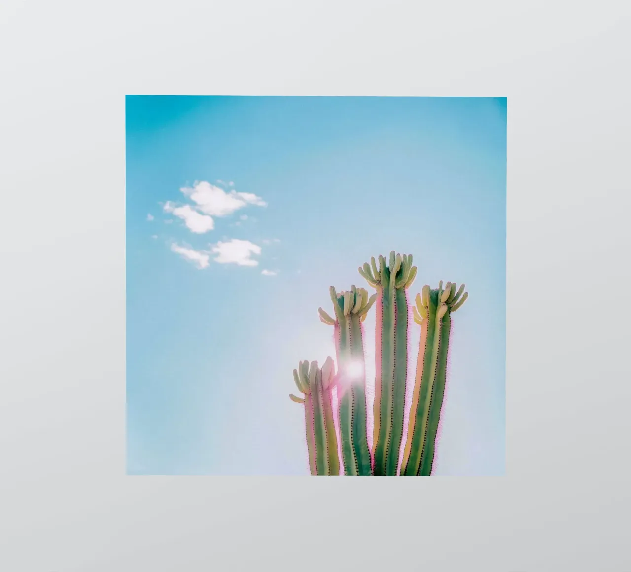 79 sticker by Pink California | Affiches & Posters