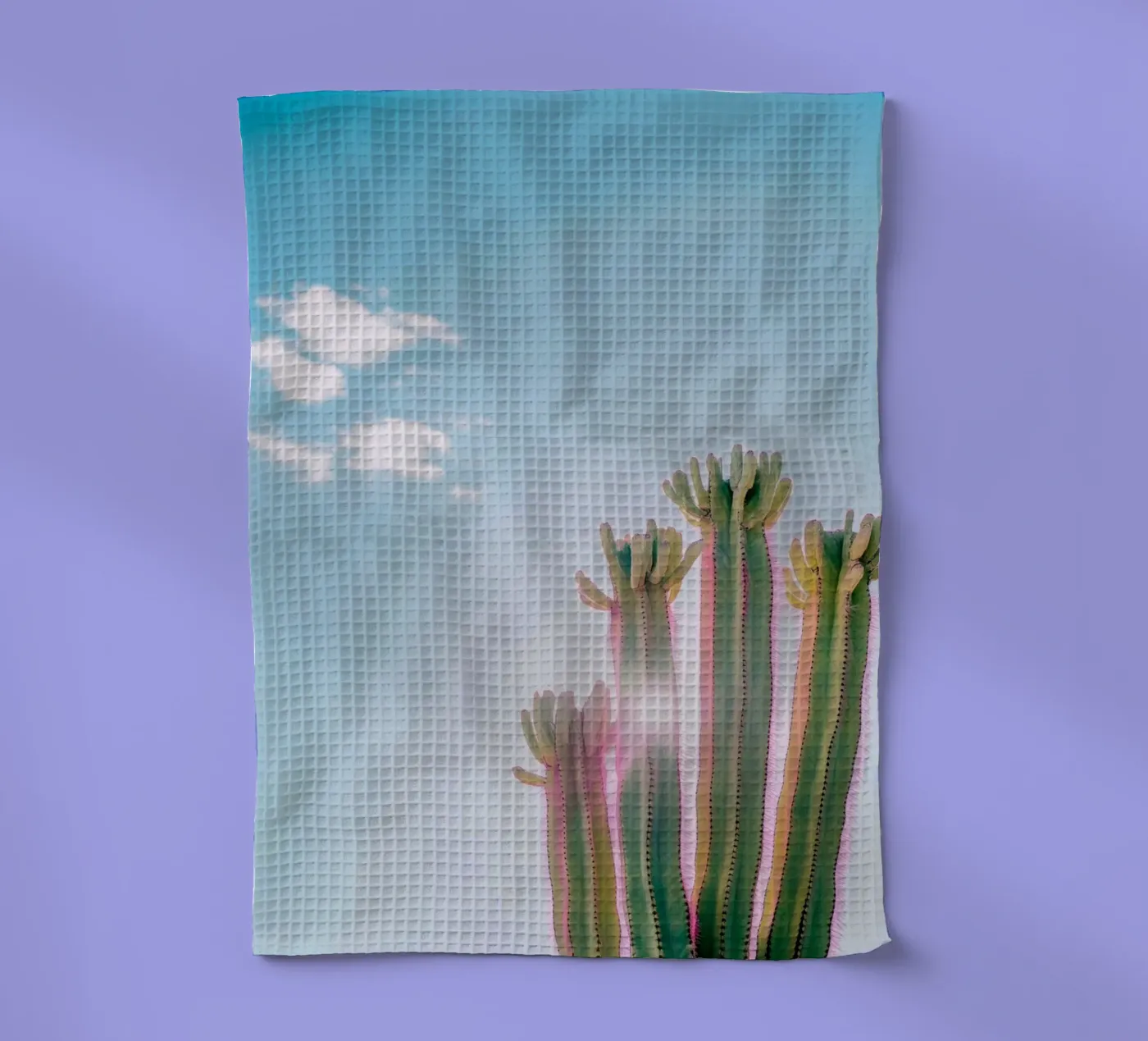 79 torchon de Pink California | Affiches & Posters