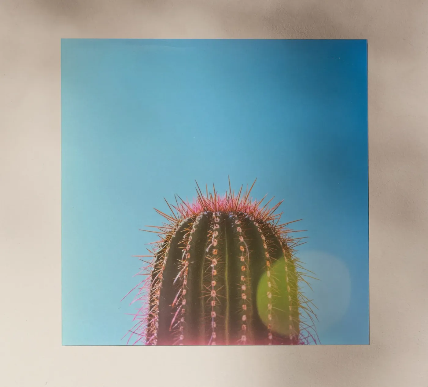 80 pellicola backlit da Pink California | Affiches & Posters