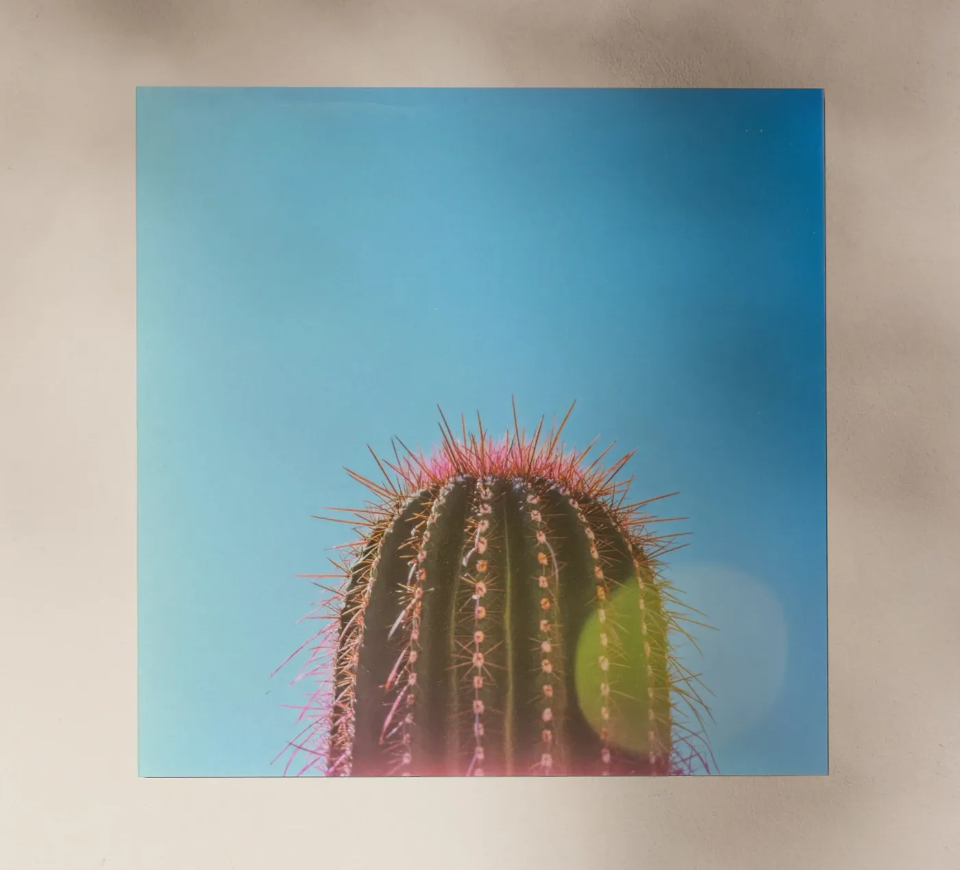 80 pellicola backlit da Pink California | Affiches & Posters