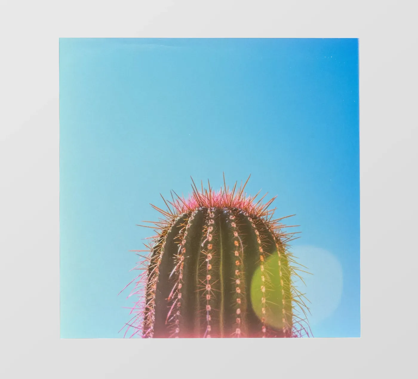 80 fotobehang van Pink California | Affiches & Posters