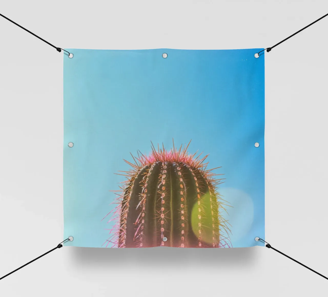 80 telo in pvc da Pink California | Affiches & Posters