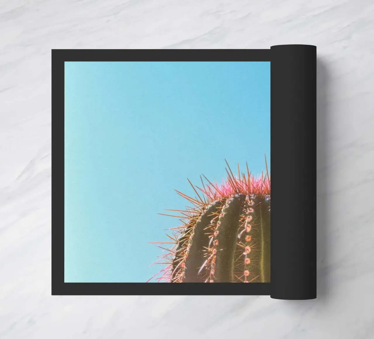 80 zerbino da Pink California | Affiches & Posters