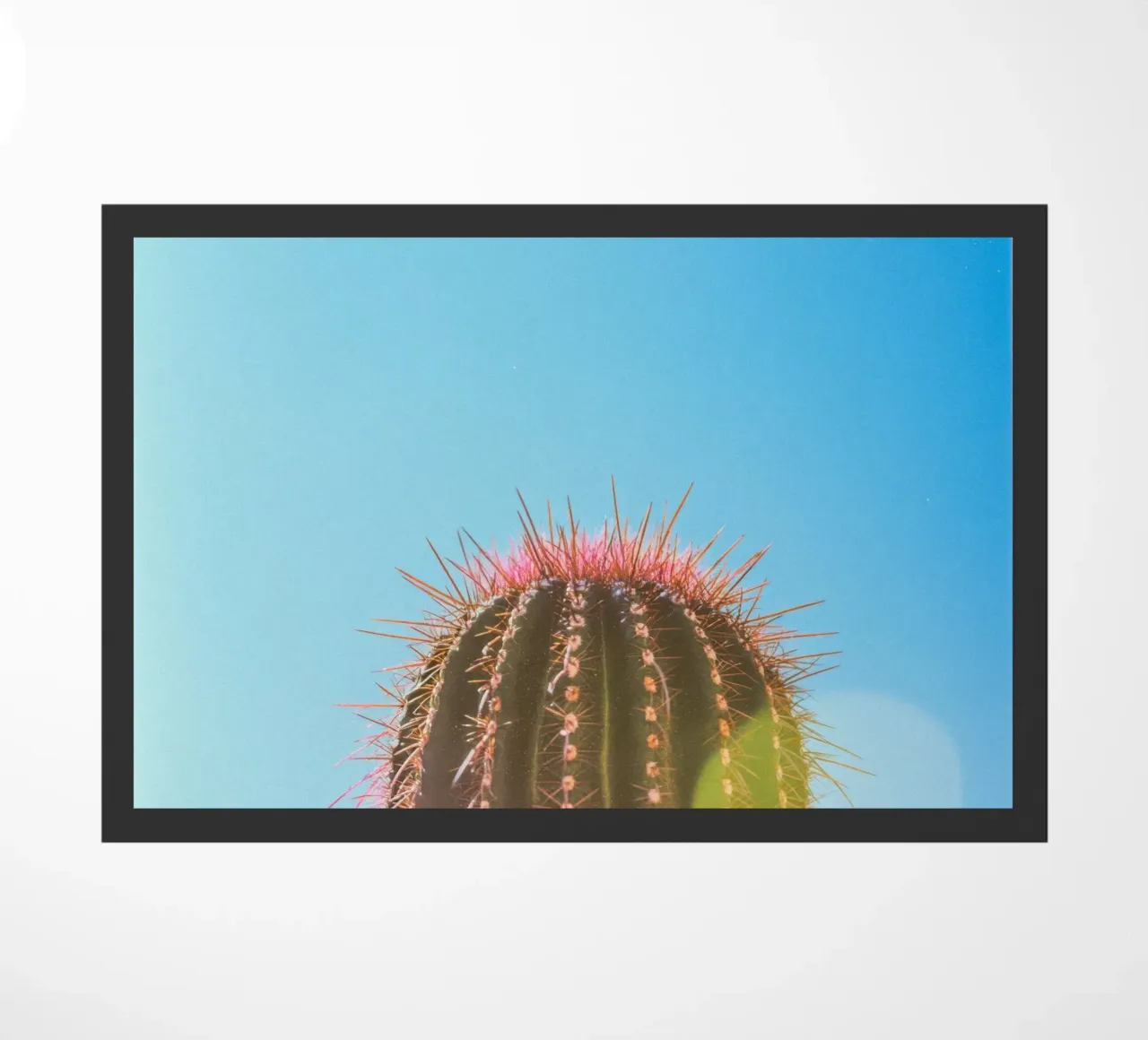 80 zerbino da Pink California | Affiches & Posters