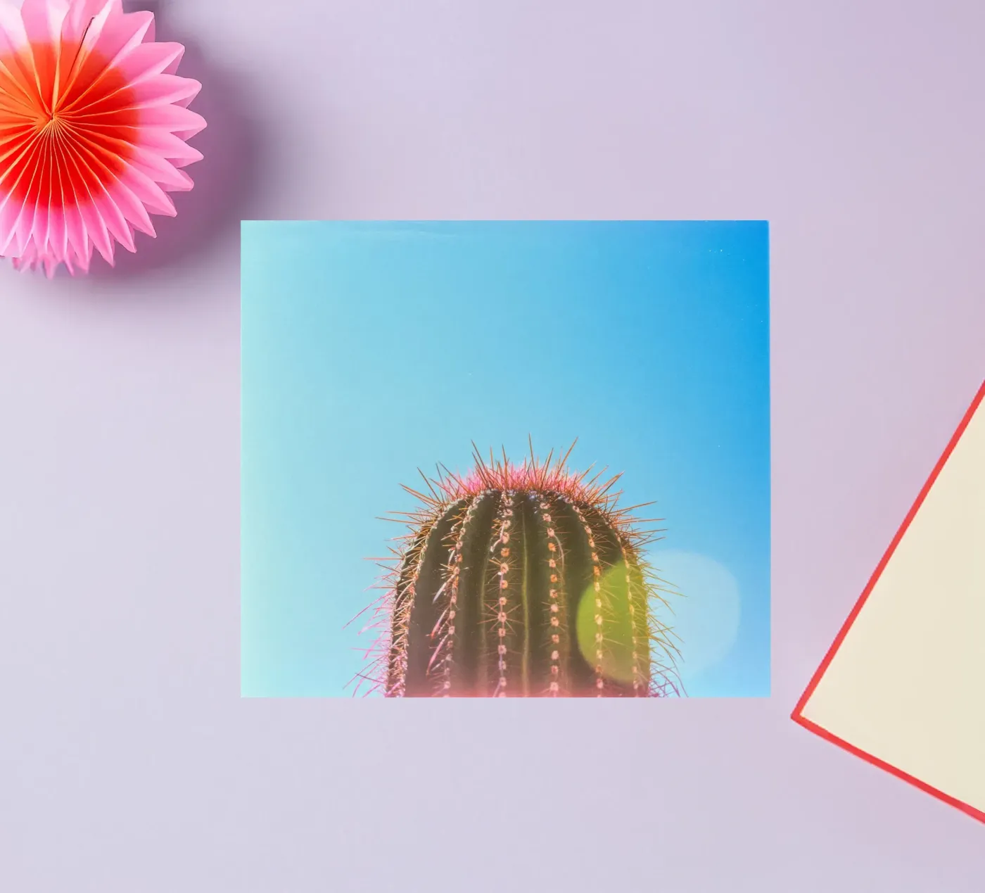 80 sticker van Pink California | Affiches & Posters