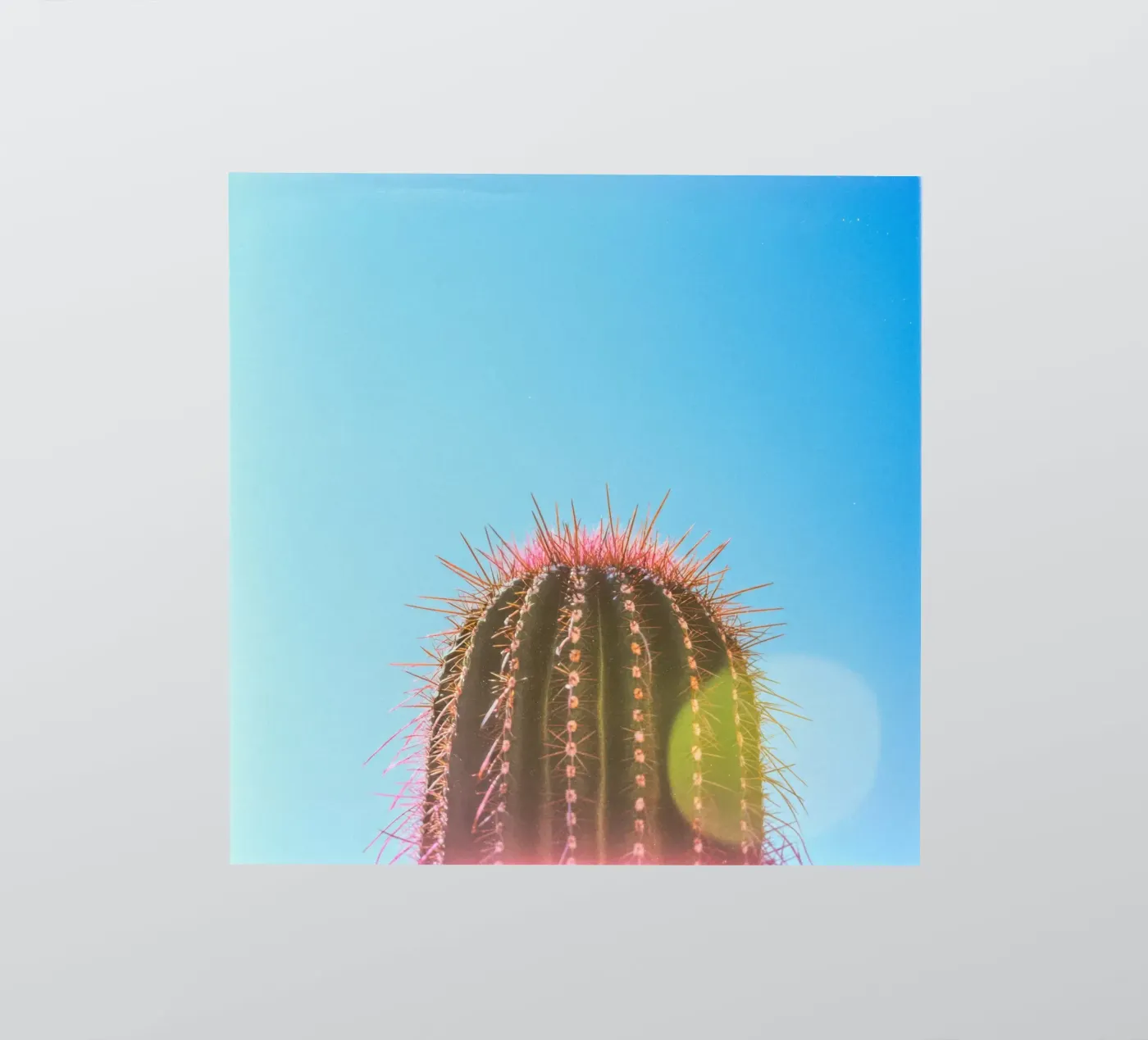 80 sticker van Pink California | Affiches & Posters