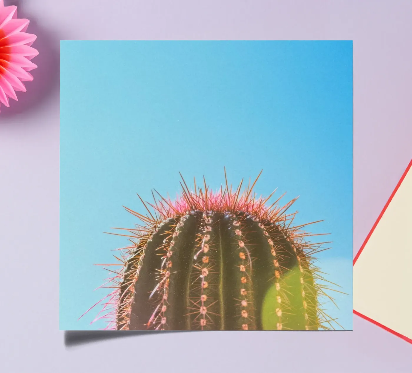 80 sticker sheet by Pink California | Affiches & Posters