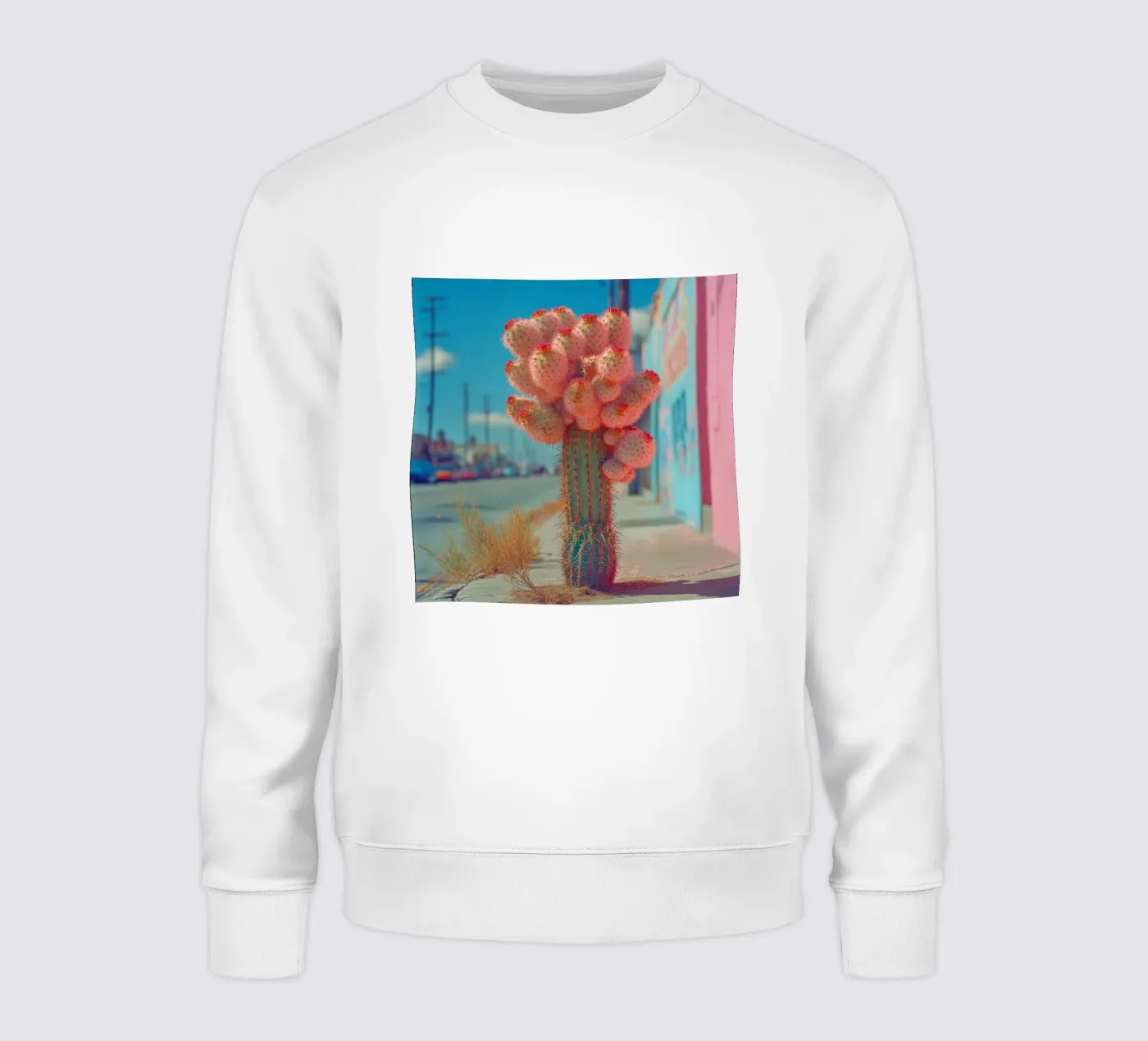 81 felpa da Pink California | Affiches & Posters