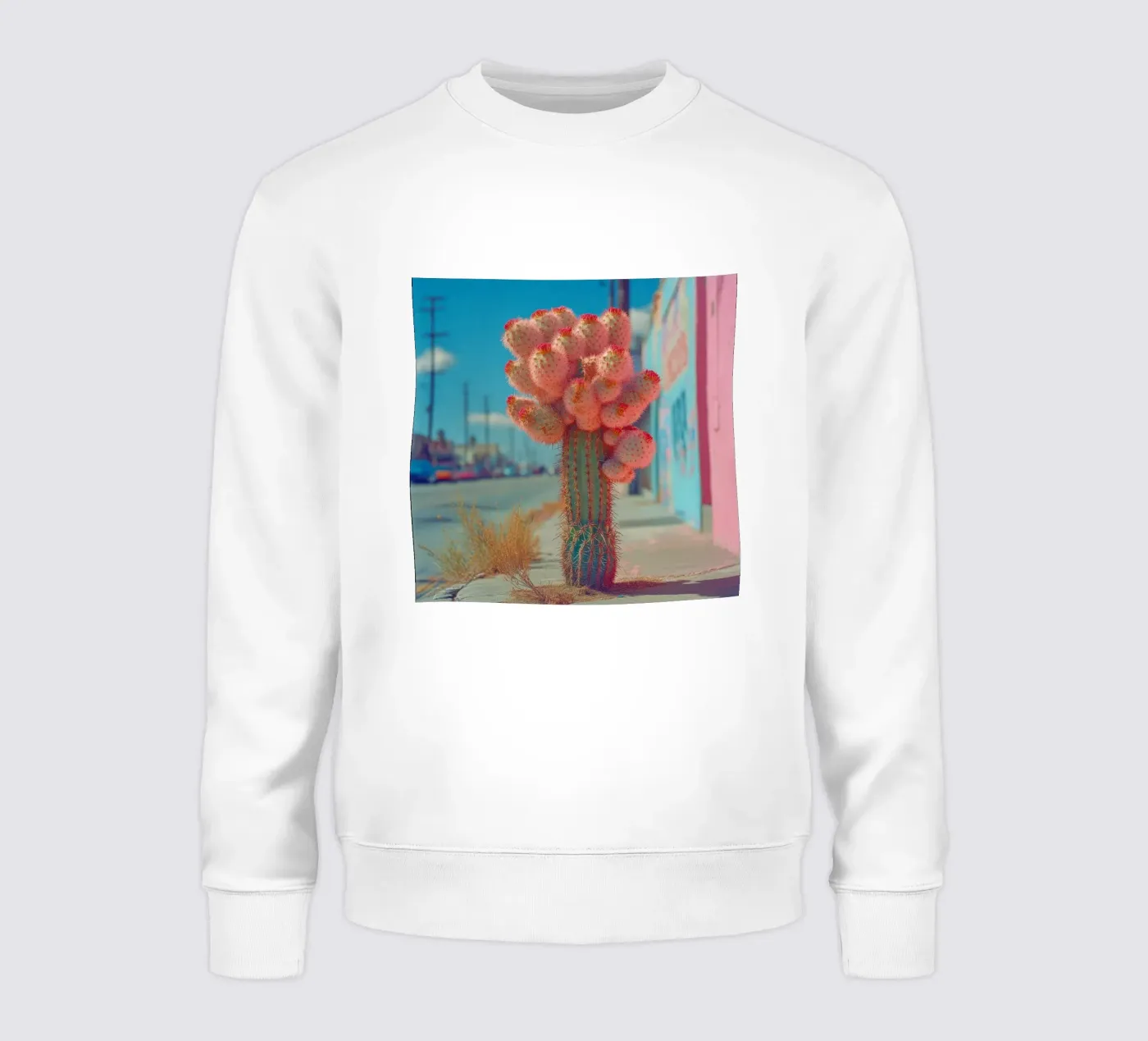 81 felpa da Pink California | Affiches & Posters