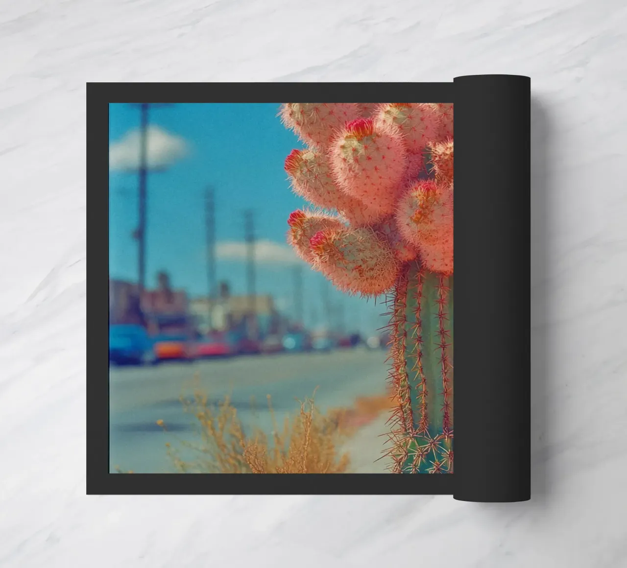 81 zerbino da Pink California | Affiches & Posters