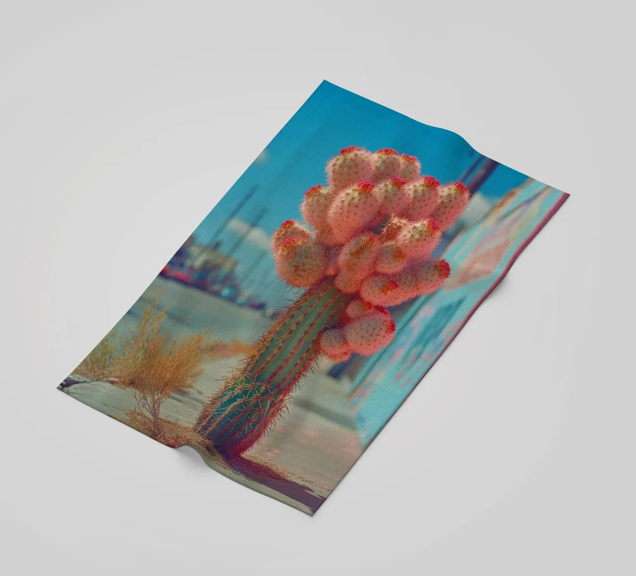 81 telo mare da Pink California | Affiches & Posters