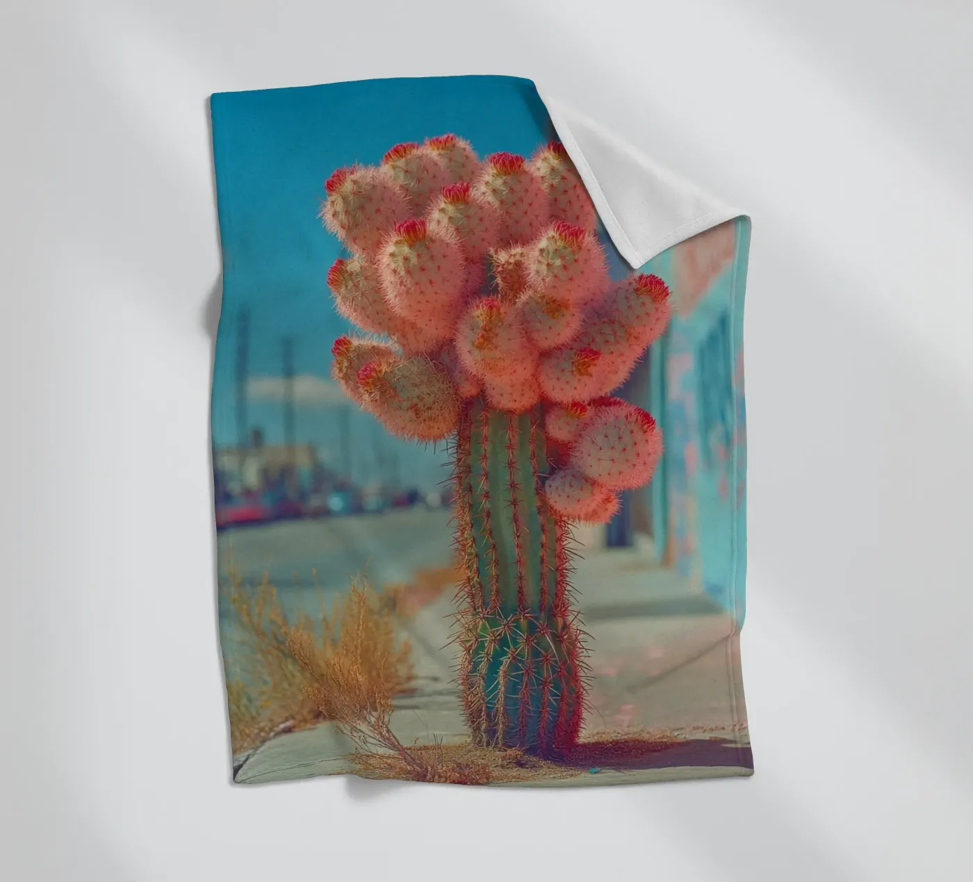 81 coperta in pile da Pink California | Affiches & Posters